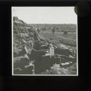 Böhl glass slide 41/2813